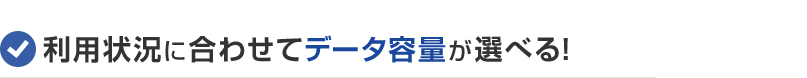 利用状況に合わせてデータ容量が選べる！