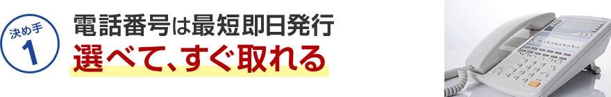 決め手1 電話番号は最短即日発行選べて、すぐ取れる